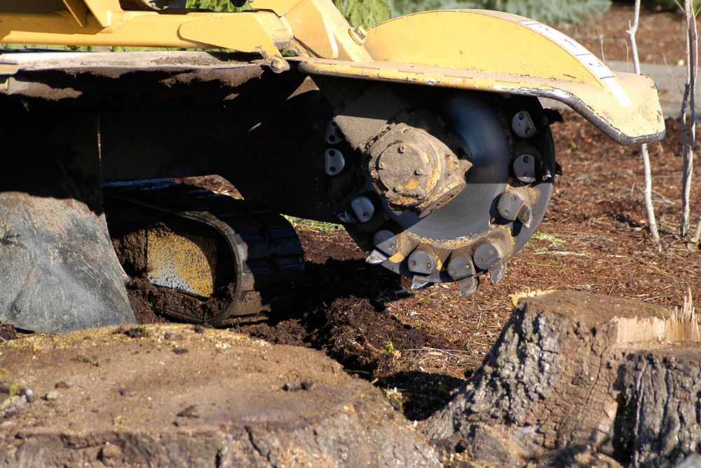 stump-grinding